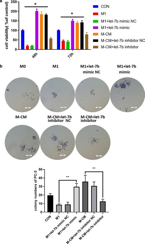 Reversal Of M Cms By Downregulation Of Let 7b 5p Inhibits The