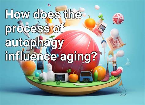 How does the process of autophagy influence aging? – Health.Gov.Capital