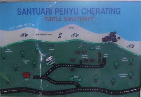 Cherating turtle sanctuary - Asian Itinerary