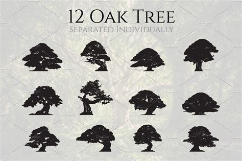 Artistic Big Oak Tree Silhouette Set | Object Illustrations ~ Creative Market