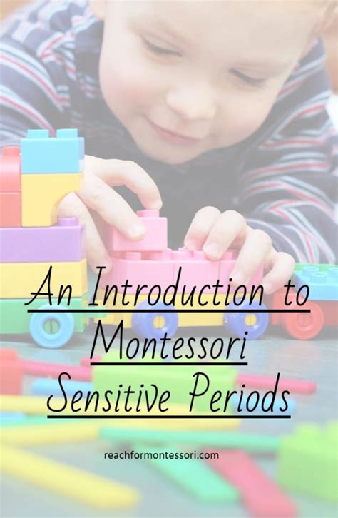 What are Sensitive Periods in Montessori? — The Montessori-Minded Mom