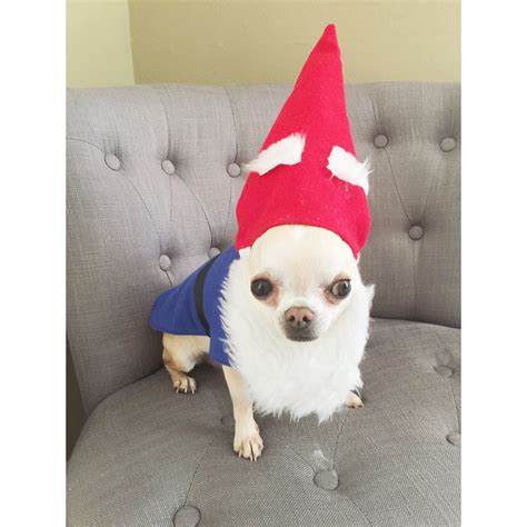 Dog Garden Gnome Costumedog Gnome Costumecat Garden Gnome Etsy