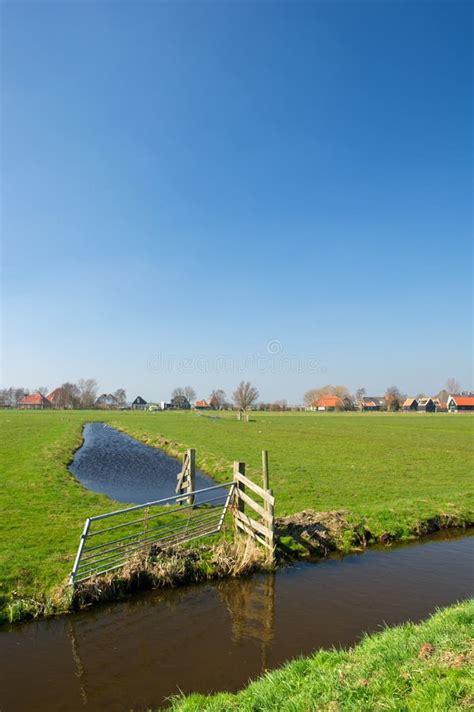 Typical Dutch Landscape Stock Image Image Of Farm Grass