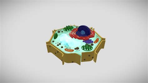 Plant-cell-structure 3D models - Sketchfab