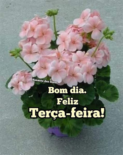 Pin De Ellinor Mitchell Em Tuesday Bom Dia Flores Feliz Ter A