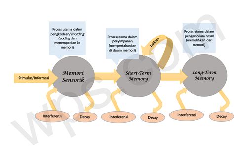 10 Jenis Memori Dalam Psikologi Kognitif Yang Mempengaruhi Ingatan