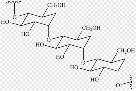 Polysaccharide Cellulose Amylose Chemistry Threose