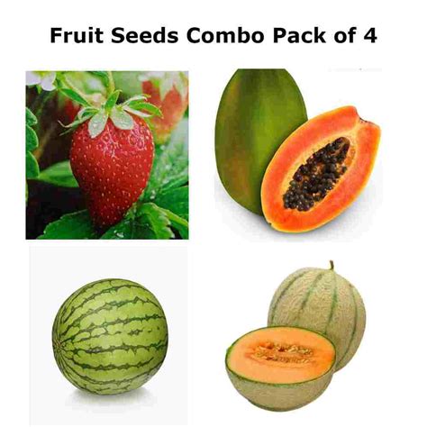 Fruit seeds combo of 4 - NativeIndian Organics