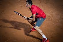 Milos Raonic - Wikipedia