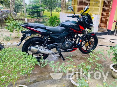 Bajaj Pulsar For Sale Pabna Bikroy