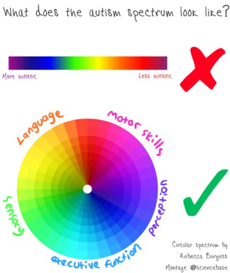 What Colour Is The Autism Spectrum David Bradley