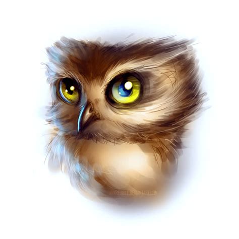 Baby Owl Drawing at PaintingValley.com | Explore collection of Baby Owl Drawing