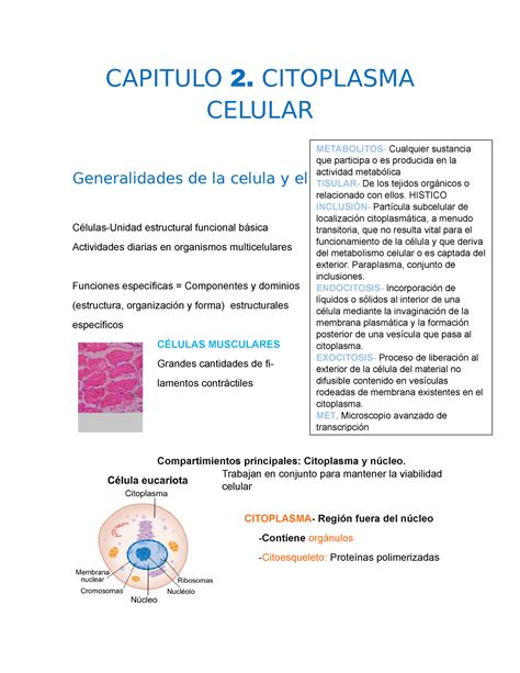 Histologyyy Apuntes Del Libro De Texto Ross Y De Clases CAPITULO 2