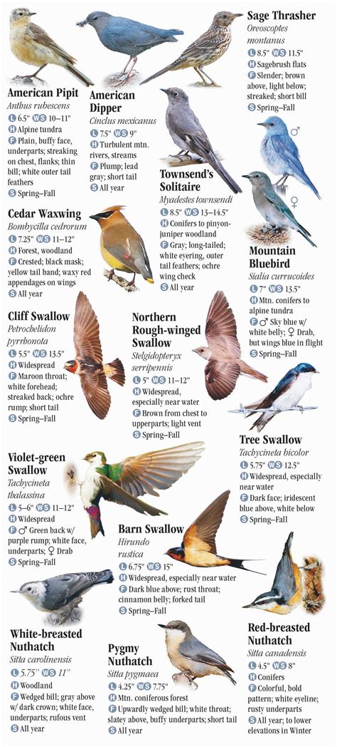 Birds of the Northern Rocky Mountains – Quick Reference Publishing Retail