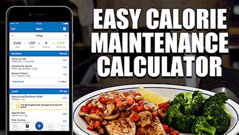 THE BEST WAY TO CALCULATE MAINTENANCE CALORIES SIMPLE AND ACCURATE