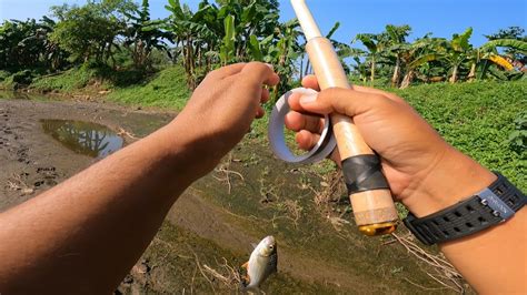 AKIBAT UMPAN MANCING TERLALU GACOR PANEN IKAN DI SUNGAI INI YouTube