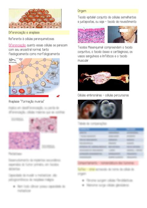 Solution Patologia Neoplasias Enfermagem Studypool