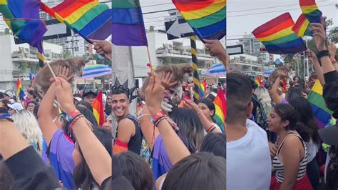 Perro Gay Ovacionan A Un Canino En Marcha LGBT De Guadalajara Infobae