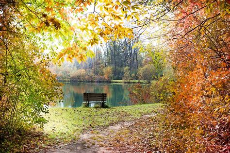 Autumn Fall Season Leaves Free Photo On Pixabay