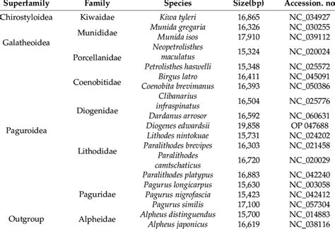 List of Anomura species with their GenBank accession numbers. | Download Scientific Diagram