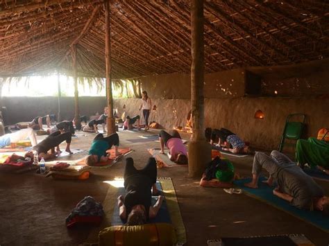 13 Best Yoga Retreats In Goa Flying Squirrel Holidays