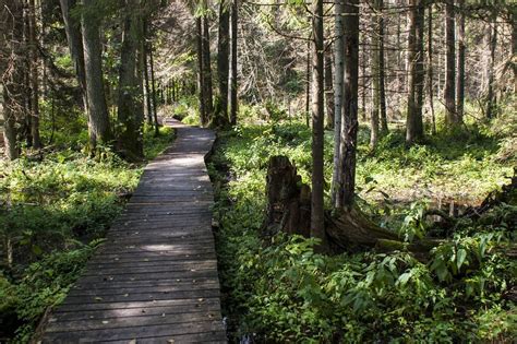 Tajemnicze I Klimatyczne Miejsca W Woj Podlaskim I Okolicach Idealne