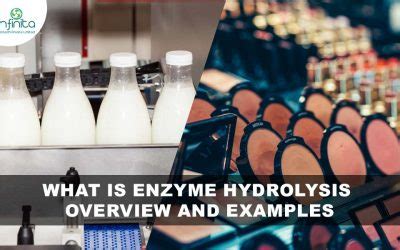 Enzymes In Cosmetics Infinita Biotech