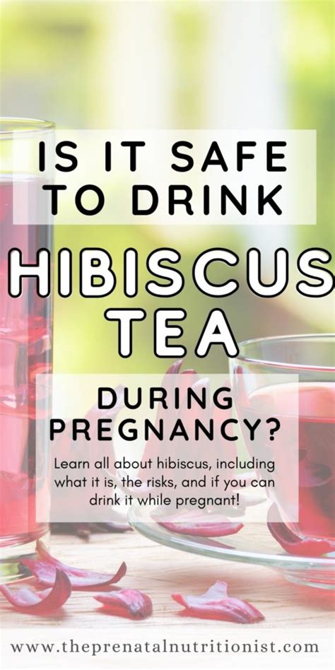 Is Hibiscus Tea Safe During Pregnancy The Prenatal Nutritionist