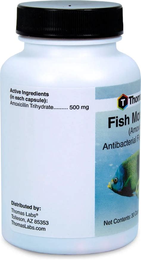 Thomas Labs Fish Mox Forte Trusted Pet Pharmacy Thefishaid Fishaid