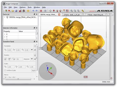 Software Per Stampa 3D Di Modelizzazione ASIGA