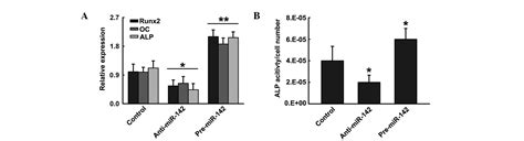 Mir P Promotes Osteoblast Differentiation By Modulating Wnt Signaling