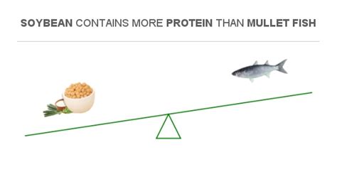 Compare Protein in Soybean to Protein in Mullet fish