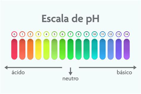 Escala De Ph Exemplos - Exemplos De Escala De Ph