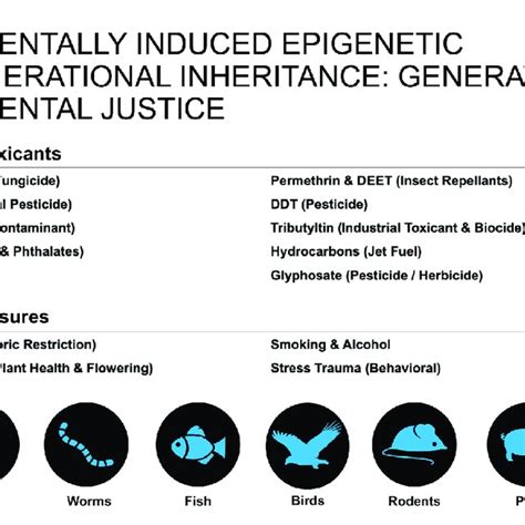 Environmentally Induced Epigenetic Transgenerational Inheritance