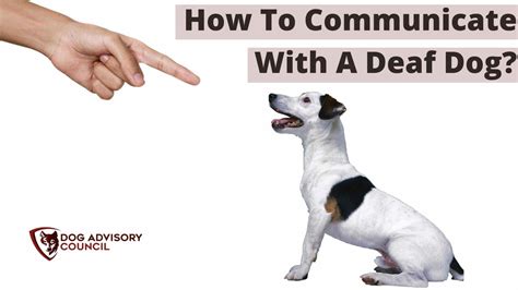 How to Communicate With a Deaf Dog? (Hand Signals Chart) | Dog Advisory ...