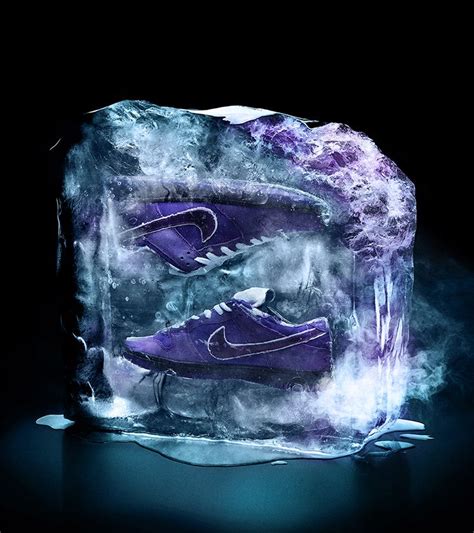 Concepts X Nike Sb Dunk Purple Lobster Fresh Catch Nike Snkrs