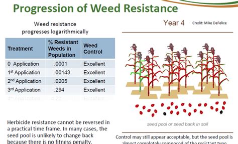 Principles Of Managing Herbicide Resistance Cotton Incorporated