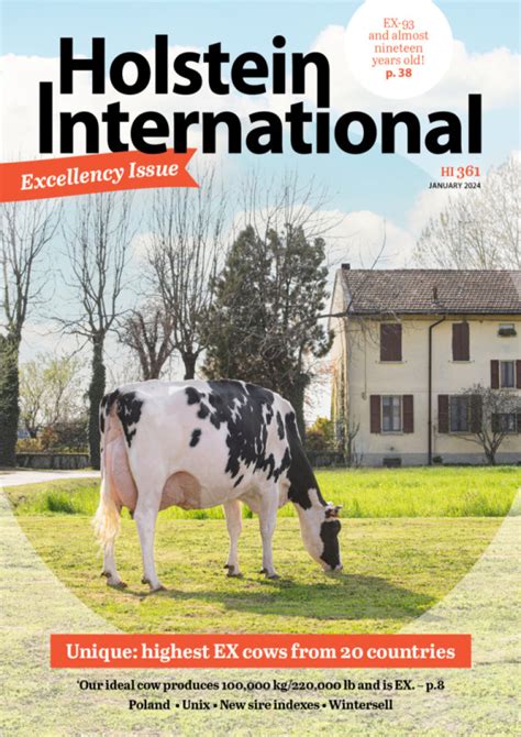 Holstein International