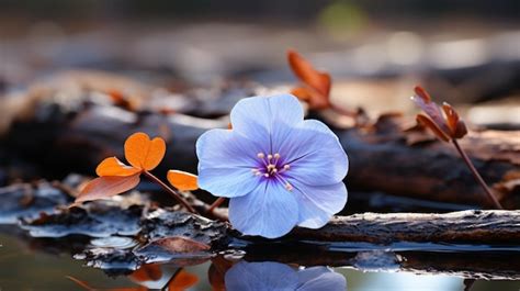 Premium Photo | Lonely blue flower forest peaceful landscape freedom ...