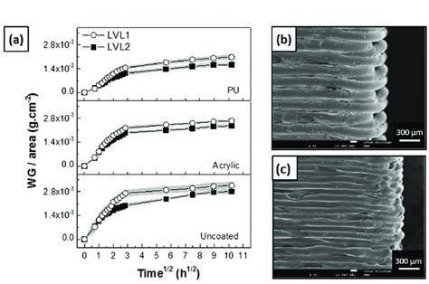 A Evolution Of The Wg Per Area Of Samples Lvl And Lvl Uncoated