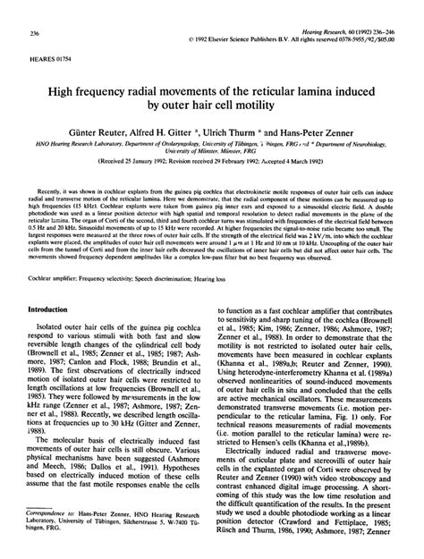 Pdf High Frequency Radial Movements Of The Reticular Lamina Induced