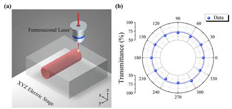 A Schematic Plot Of The Femtosecond Laser Direct Writing Depressed