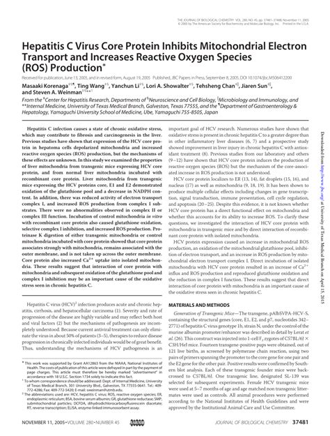 PDF Hepatitis C Virus Core Protein Inhibits Mitochondrial Electron