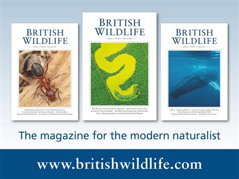 Conservation news highlights from British Wildlife