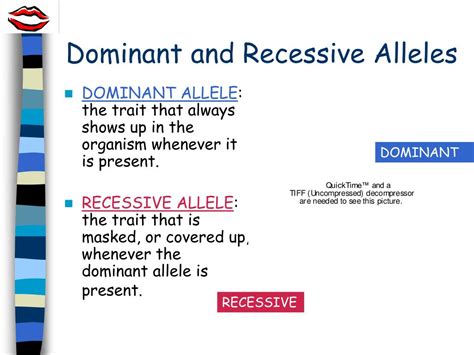 Ppt Dominant Vs Recessive Alleles Powerpoint Presentation Free