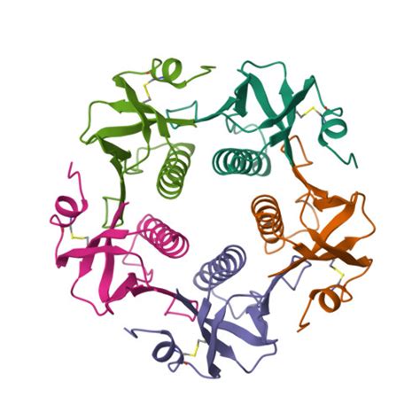 Rcsb Pdb 1chq Surprising Leads For A Cholera Toxin Receptor Binding