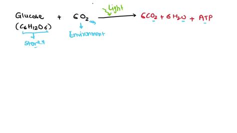 Cellular Respiration Equations