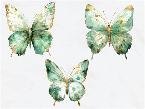 Sage Green Gold Butterflies Clipart Watercolor Butterfly And Flower