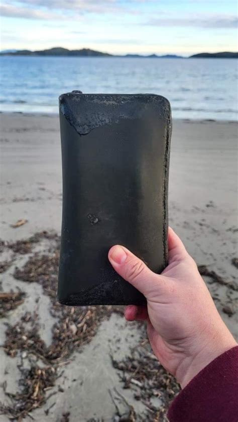 Woman Finds Wallet On B C Beach Months After Losing It At Sea Cbc News