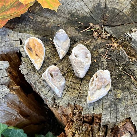 Sparkly Spiralite Fossil Shell From India Beautiful Druzy Quartz